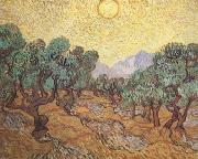 Vincent Van Gogh Olive Trees with Yellow Sky and Sun (nn04) USA oil painting reproduction